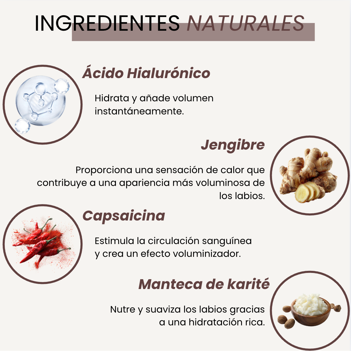 The Lip Lab - Lip Rise: Repulpador de labios